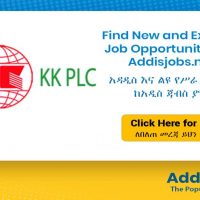 Export Manager - AddisJobs