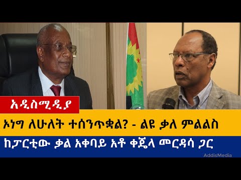 Ethiopia: ኦነግ ለሁለት ተሰነጠቀ? ልዩ ቃለ ምልልስ ከፓርቲው ቃል አቀባይ አቶ ቀጄላ መርዳሳ ጋር