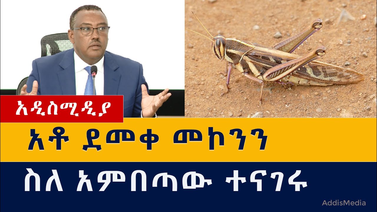 Ethiopia: የዕለቱ ዜናዎች Daily Ethiopian News -Addis Media 10/17/2020