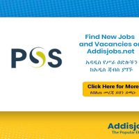 Manager, Information Technology Department - AddisJobs
