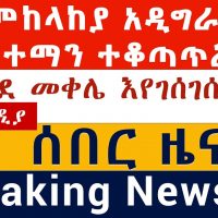 "መከላከያ ወደ መቀሌ እየገሰገሰ ነው" | "አዲግራት ከተማን ተቆጣጥሯል" |