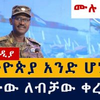 Birhanu Jula: "ኢትዮጵያ አንድ ሆነች ጁንታው ለብቻው ቀረ!" ብርሃኑ ጁላ