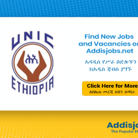 Grade 4 Branch Manager, Auditor & General Technician