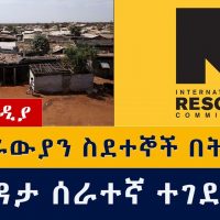 ኤርትራውያን ስደተኞች በትግራይ | የእርዳታ ሰራተኛው ተገደለ | Ethiopia | Tigray | Eritrea | Refuges