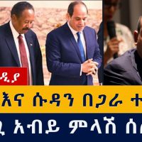 ግብጽ እና ሱዳን በጋራ ተሰለፉ | ጠ/ሚ አብይ ምላሽ ሰጡ | Ethiopia | Egypt | Sudan