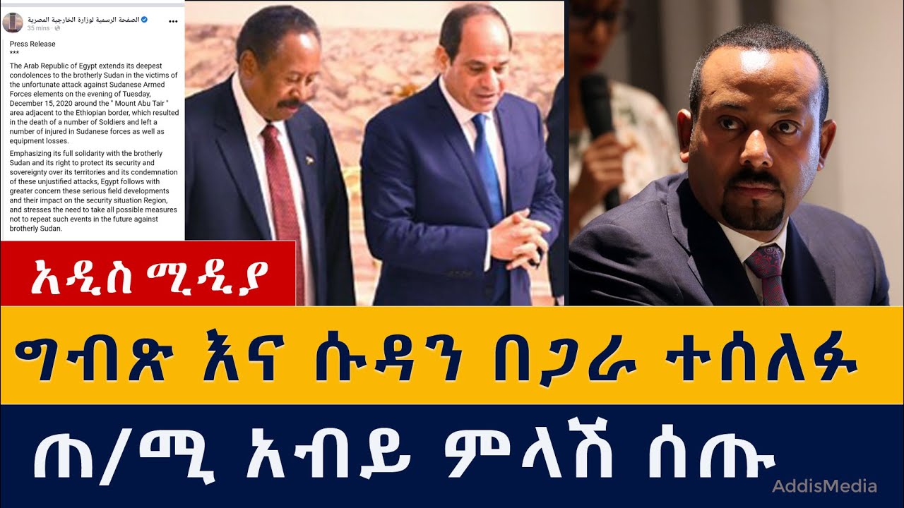 ግብጽ እና ሱዳን በጋራ ተሰለፉ | ጠ/ሚ አብይ ምላሽ ሰጡ | Ethiopia | Egypt | Sudan