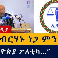 ፕ/ር ብርሃኑ ነጋ ምን አሉ? | Ethiopia | Ezema | Birhanu Nega