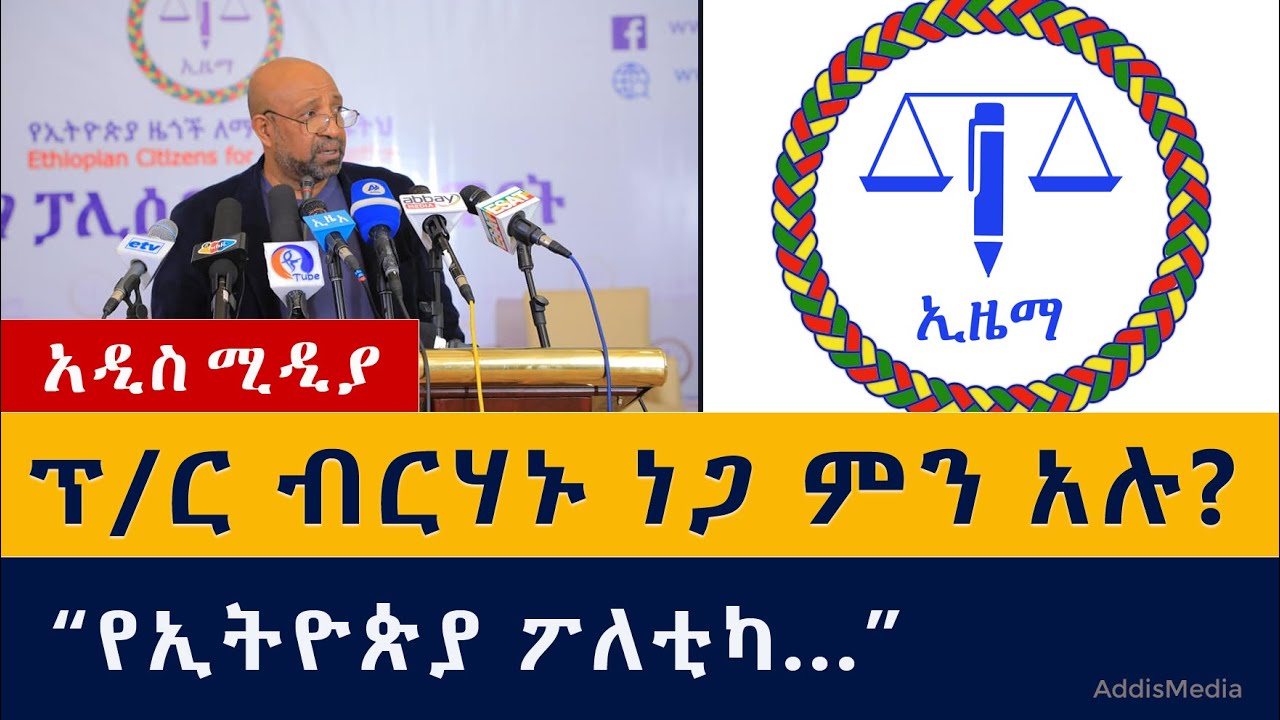 ፕ/ር ብርሃኑ ነጋ ምን አሉ? | Ethiopia | Ezema | Birhanu Nega