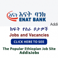 Branch Manager , Branch Accounts Administrator –Grade 8 & More