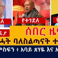 [ሰበር ዜና] ስዩም መስፍን እና አባይ ጸሃዬ ተገደሉ | Seyoum Mesfin and Abay Tsehaye killed
