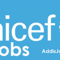 Driver (G-2), TA (364 days), #00119028, Dire Dawa, Ethiopia- UNICEF