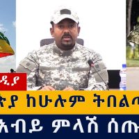 ኢትዮጵያ ከሁሉም ትበልጣለች | ዶ/ር አብይ ምላሽ ሰጡ | Abiy Ahmed | Ethiopia