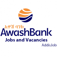 Director, Manager & Administrative Assistant I