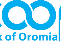 Product Development Engineer - AddisJobs