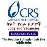 Administrative Assistant-Procurement - AddisJobs