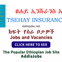 Deputy Chief Executive Officer, Manager, Recovery & Collection Officer II