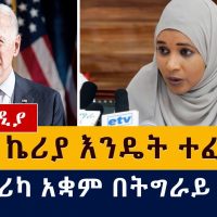 ወ/ሮ ኬሪያ እንዴት ተፈታች | አሜሪካ አቋሟን ይፋ አደረገች | US | Ethiopia | Tigray