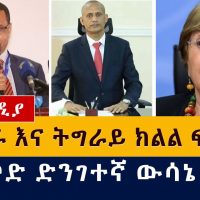 የአማራ እና ትግራይ ክልል ፍጥጫ | የተመድ ድንገተኛ ውሳኔ | United Nation | Tigray | Amhara