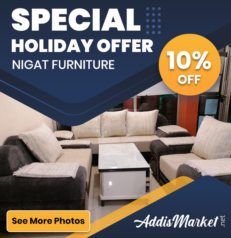 Holday Offer Nigat Furniture Sofa-Addis Market