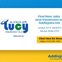 Branch Manager II, Executive Assistant (Executive Secretary) & Office Administrator