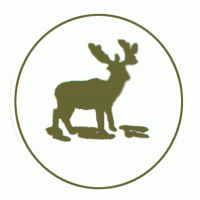 Service Bus Driver (Driver II)