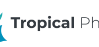 Deputy Manager,IT Officer & More