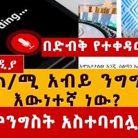 [በድብቅ የተቀረጸው] የጠ/ሚ አብይ ንግግር እውነተኛ ነው? | መንግስት አስተባብሏል | "Abiy Ahmed leaked speech"