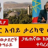 የዶ/ር አብይ ታሪካዊ ውሳኔ | መንግስት የኤርትራ ወታደሮች ንጽሃንን መግደላቸውን አመነ | Ethiopia News May 22, 2021