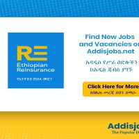 Executive Officer, Information Technology - AddisJobs