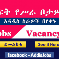 Project Manager ,Site Engineer & More