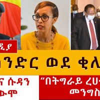 እስክንድር ነጋ ወደ ቂሊንጦ | "በትግራይ ረሀብ የለም" - መንግስት | የግብጽና ሱዳን ተቃውሞ