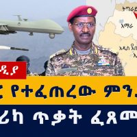 Ethiopia News: በአፋር የተፈጠረው ምንድነው? | አሜሪካ ጥቃት ፈጸመች | #Afar #Tigray #Amhara #Fano #War #USA #Alshabab