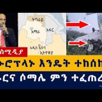 Ethiopia News: አውሮፕላኑ እንዴት ተከሰከሰ | አፋርና ሶማሌ ምን ተፈጠረ | World food program plane crash in Ethiopia