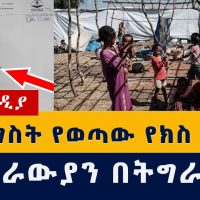 Ethiopia News:የክስ ዝርዝር ወጣ | ህወሓትና ኤርትራውያን በትግራይ #Tigray #Eritrea #TPLF #Amhara #Afar #Abiy #Getachew
