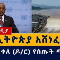 Ethiopia on the Grand Ethiopian Renaissance Dam (GERD) | Dr Eng Seleshi Bekele | UN | Egypt | Sudan