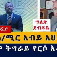 ግልጽ ደብዳቤ ለጠ/ሚር አብይ አህመድ | ከያሬድ ኃ/ማርያም | Open letter to P.M Aby Ahmed | Yared Hailemariam
