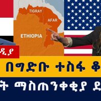 Addis Media: Ethiopia News | ግብጽ በግድቡ ተስፋ ቆረጠች | ህወሓት ማስጠንቀቂያ ደረሰው | #Ethiopia #Egypt #Abaydam #Nile