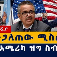Addis Media: የተጋለጠው ሚስጢር መጨረሻ | የእነ አሜሪካ ዝግ ስብሰባ | Ethiopia News | Habesha News | UN Leaked audio