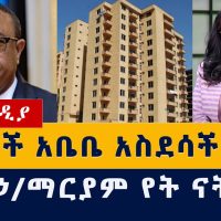 Addis Media: የአዳነች አቤቤ አስደሳች ውሳኔ | አቶ ኃ/ማርያም የት ናቸው | #Ethiopia #Habesha #AddisAbaba #Adanech #News