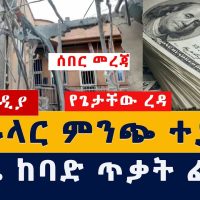 Addis Media: የጌታቸው ረዳ የዶላር ምንጭ ተያዘ | ወያኔ ከባድ ጥቃት ፈጸመ | #EthiopiaNews #HabeshaNews #TPLF #Debretabor
