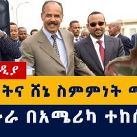 [ጥብቅ መረጃ] የህወሓትና ሸኔ ስምምነት | ኤርትራ ተከሰሰች| Ethiopia armed group says it has alliance with Tigray forces