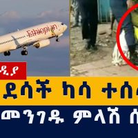 ፖሊሶች የደበደቧት ሴት አስደሳች ካሳ ተሰጣት | አየርመንገዱ ምላሽ ሰጠ | Addis Ababa Police leaked video | Ethiopia Habesha