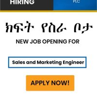 Sales & Marketing Engineer - AddisJobs