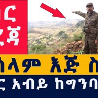 [ሰበር መረጃ] ዶ/ር አብይ ከግንባር | "በሰላም እጅ ስጡ" | "ተሸንፋችኋል" | Abiy Ahmed | TPLF | Ethiopia | Habesha | News