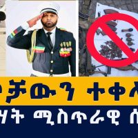 [አዲስ መረጃ] ታዋቂ ሰዎች ዘመቻውን ተቀላቀሉ | የህወሓት ሚስጥራዊ ሰነድ ተጋለጠ | Ethiopia | Habesha | News | Abiy Ahmed | War