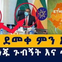 [አዲስ መረጃ] አቶ ደመቀ ምን አሉ? | የፈረንጁ ጉብኝት | Ethiopia | Habesha | News | Addis Media | Addis Mereja | zena