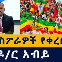 #Ethiopian PM #AbiyAhmed calls for unity in #diaspora | #Ethiopianews #Homecoming #Habesha #News