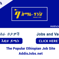 Manager Branch Operations-I,Branch Manager – Grade I & More