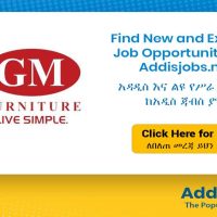 Import and Export Manager