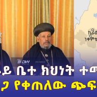 [አዲስ መረጃ] የትግራይ ቤተ ክህነት ተመሰረተ | በወለጋ ጭፍጨፋው ቀጥሏል | #Ethiopia #Tigray #Wollega #Habesha #News #መረጃ